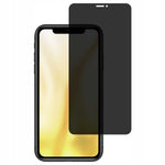 Spacecase Glass Privacy iPhone X / XS / 11 Pro