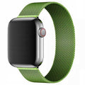 Spacecase Milanese AW 38/40/41 green