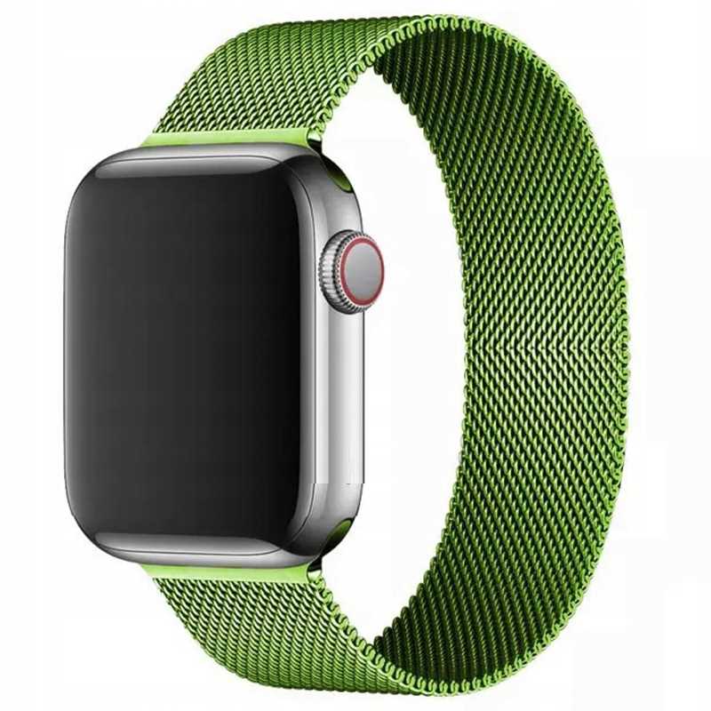 Spacecase Milanese AW 42/44/45 green