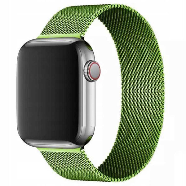 Spacecase Milanese AW 42/44/45 green