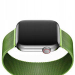 Spacecase Milanese AW 42/44/45 green