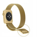 Spacecase Milanese AW 42/44/45 gold