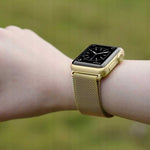 Spacecase Milanese AW 42/44/45 gold