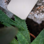 Spacecase Silicone Case Realme 9 4G/9 Pro+ bone