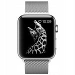 Spacecase Milanese AW 38/40/41 silver