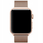 Spacecase Milanese AW 38/40/41 champagne