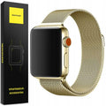 Spacecase Milanese AW 42/44/45 gold