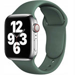 Spacecase Silicone Band AW 42/44/45 pine green