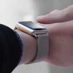 Spacecase Milanese AW 38/40/41 silver