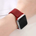 Spacecase Milanese AW 42/44/45 red