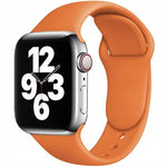 Spacecase Silicone Band AW 42/44/45 orange